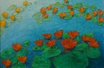 Waterlilies